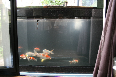 20070821suisou 001-400
